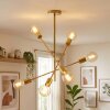 Bogno Plafones dorado, 6 luces