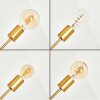 Bogno Plafones dorado, 6 luces