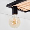 Kanor Plafones Crudo, Negro, 6 luces