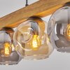 Ripoll Lámparas suspendidas, Luminarias esféricas, Lámparas colgantes Crudo, Negro, 5 luces
