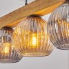 Ripoll Lámparas suspendidas, Luminarias esféricas, Lámparas colgantes Crudo, Negro, 5 luces