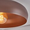 Guayo Plafones Moca, 1 luz