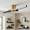 Kirel Plafones LED Latón, 1 luz