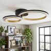 Tulor Plafones LED Negro, 1 luz