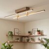 Kiron Plafones LED Color arena, 1 luz
