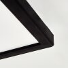 Zuren Plafones, Panel LED Negro, 1 luz