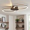 Koman Plafones LED Negro, 1 luz