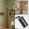 Javel Lámpara de pie Negro, 5 luces