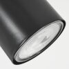 Javel Lámpara de pie Negro, 5 luces