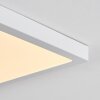 Finsrud Plafones, Panel LED Blanca, 1 luz