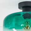 Boza Plafones Verde, Transparente, 1 luz