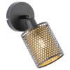 Lámparas Globo Lighting CHEVAL Apliques, Spot de pared Negro, 1 luz