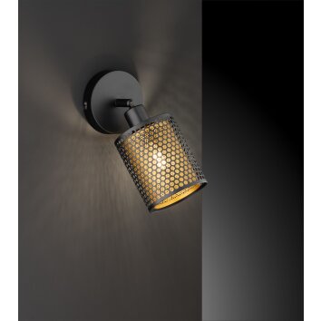 Lámparas Globo Lighting CHEVAL Apliques, Spot de pared Negro, 1 luz