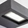 AEG Glynn Aplique para exterior LED Antracita, 1 luz