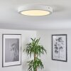 Finsrud Lámpara de Techo LED Blanca, 1 luz