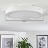 Finsrud Lámpara de Techo LED Blanca, 1 luz