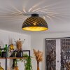 Osina Lámpara de Techo Negro, 1 luz