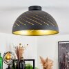Osina Lámpara de Techo Negro, 1 luz