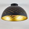 Osina Lámpara de Techo Negro, 1 luz