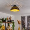 Osina Lámpara de Techo Negro, 1 luz