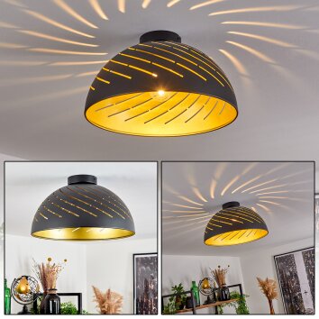 Osina Lámpara de Techo Negro, 1 luz