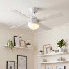 Lenok lámpara ventilador de techo LED Color madera, Blanca, 1 luz, Mando a distancia