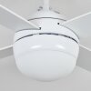 Lenok lámpara ventilador de techo LED Color madera, Blanca, 1 luz, Mando a distancia
