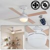 Lenok lámpara ventilador de techo LED Blanca, 1 luz, Mando a distancia