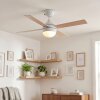 Lenok lámpara ventilador de techo LED Blanca, 1 luz, Mando a distancia