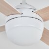 Lenok lámpara ventilador de techo LED Blanca, 1 luz, Mando a distancia