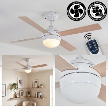Lenok lámpara ventilador de techo LED Blanca, 1 luz, Mando a distancia