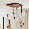 Koyoto plafón de madera 5 luces para techo con globos de cristal transparente