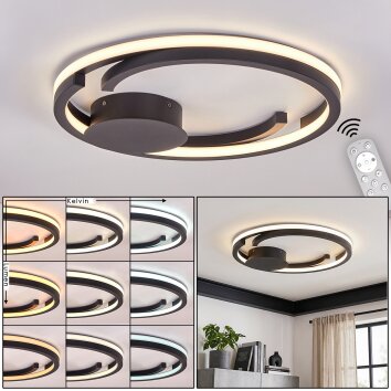 Plafón LED moderno Miral con doble aro circular, luz 2700-6500 Kelvin, para techos bajos