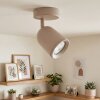 LED Lemak foco de techo orientable cilíndrico color taupe para salón y pasillo
