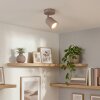 LED Lemak foco de techo orientable cilíndrico color taupe para salón y pasillo