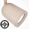 LED Lemak foco de techo orientable cilíndrico color taupe para salón y pasillo