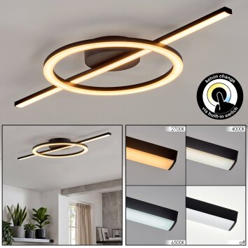 Nemil plafón LED de techo moderno con aro luminoso y barra lineal