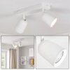 Lemak plafón LED de techo con focos GU10, 2 luces orientables en blanco