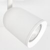 Lemak plafón LED de techo con focos GU10, 2 luces orientables en blanco