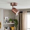 Lemak foco de techo LED orientable GU10 en cobre cepillado para salón y comedor