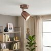 Lemak foco de techo LED orientable GU10 en cobre cepillado para salón y comedor