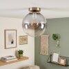 Gastor plafón de techo con globo de cristal ahumado E27 estilo vintage latón