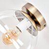 Gastor plafón de techo retro vintage con globo de cristal transparente E27