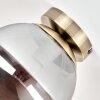 Gastor plafón de techo globo con cristal ahumado y latón antiguo E27 vintage