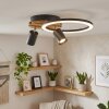 LED Plafón de focos Velani con aro blanco y dos cabezales orientables, 3000 Kelvin