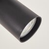 LED Plafón de focos Velani con aro blanco y dos cabezales orientables, 3000 Kelvin