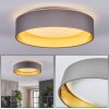 Plafón redondo LED Kavon, pantalla textil beige y dorada, 3000 Kelvin blanco cálido