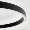 Plafón LED Narok con anillos y pantalla blanca, RGB, CCT ajustable, 2700-6500 Kelvin