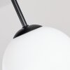 Gastor plafón de techo de 4 luces E14 con pantallas globo para salón