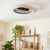 Calista plafón LED de techo redondo ø 29,5 cm, lámpara de techo moderna